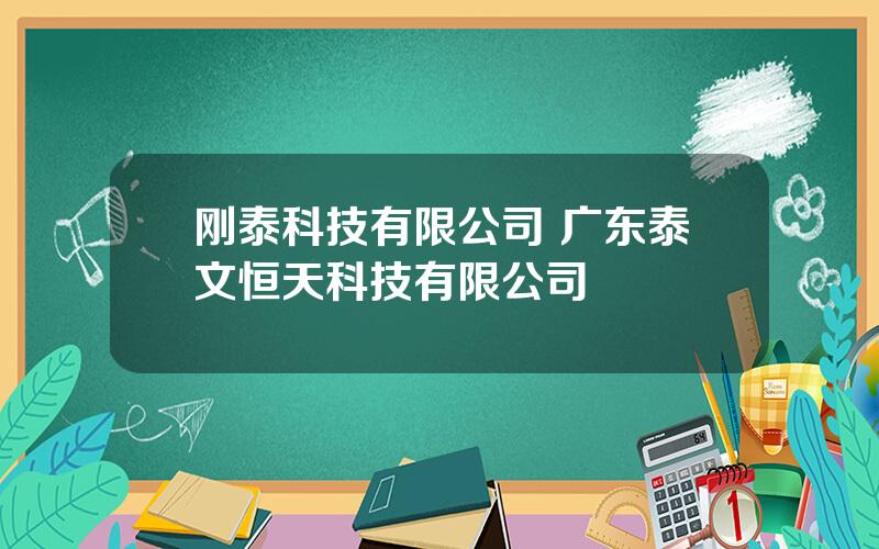 刚泰科技有限公司 广东泰文恒天科技有限公司